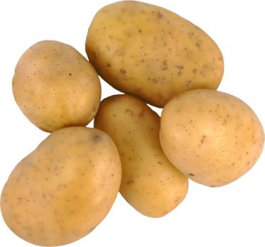Картофель белый мытый вес